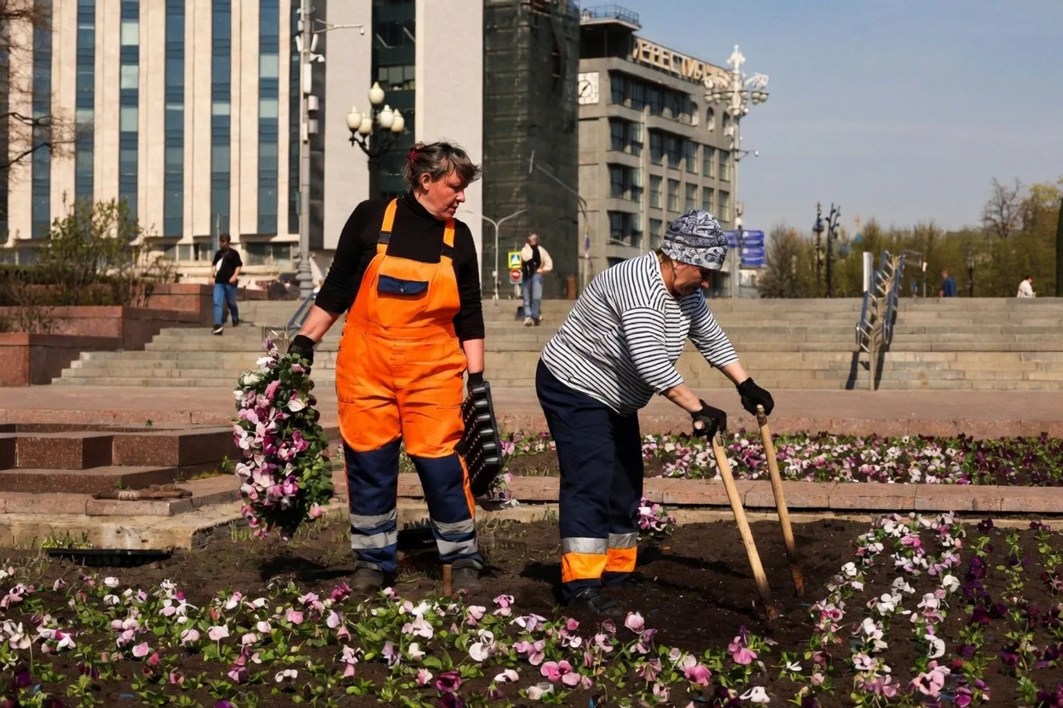 Новые стандарты озеленения московских дворов: что изменится для жителей новостроек